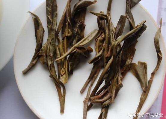 冰岛普洱茶茶山风景,普洱名山薄荷塘