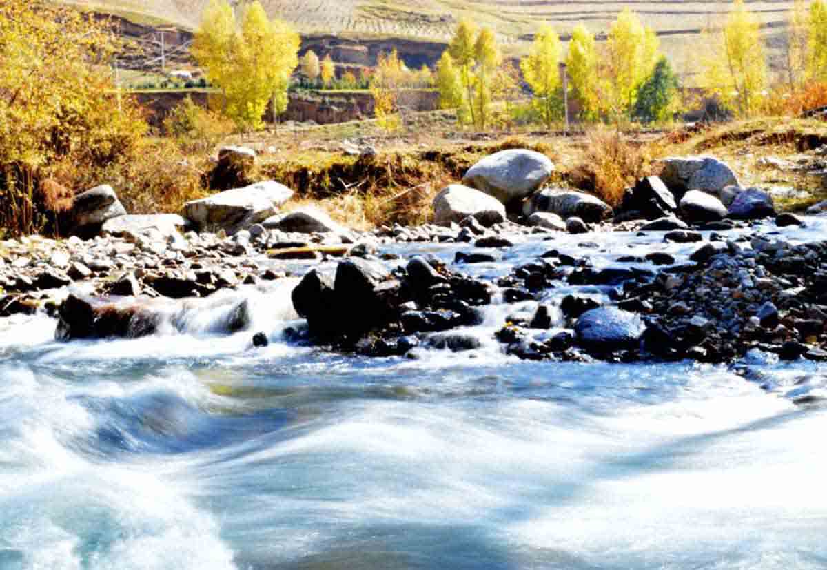 北山林场公园,北山森林植物园