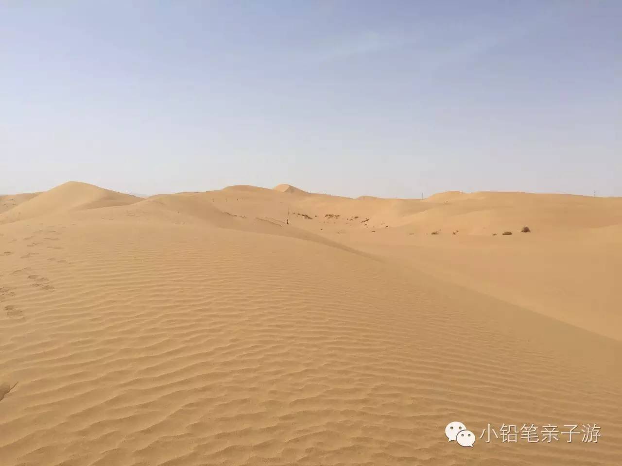 爸爸去哪儿宁夏沙坡头片段,爸爸去哪儿宁夏沙坡头