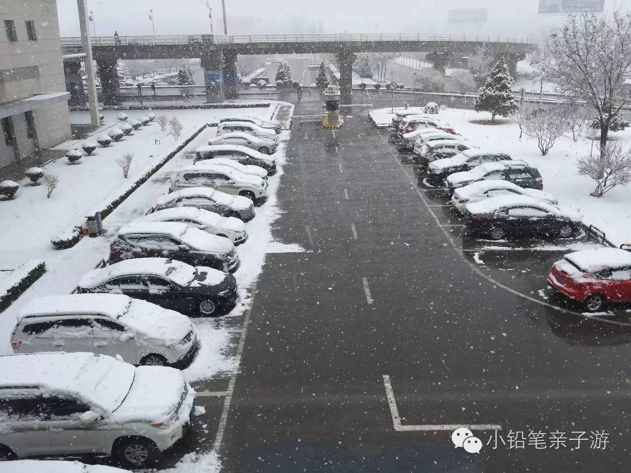 爸爸去哪儿宁夏沙坡头片段,爸爸去哪儿宁夏沙坡头