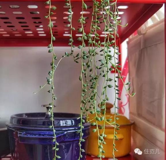 如何在十八线小城市生活,在18线小城市生活