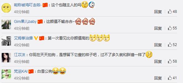 陈赫的狗有多可怕,陈赫奔跑吧被吐槽颜值