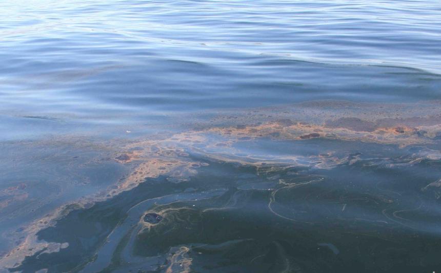 只知道拥有的就是最好的 (拥有的一切都是最好的)