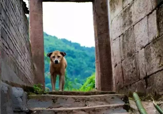 小长假来一场茶之旅,带茶叶旅游攻略