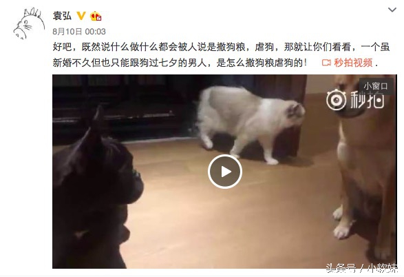 张歆艺袁弘半夜通视频委屈哭，网友眼尖发现：性感蕾丝情趣内衣？