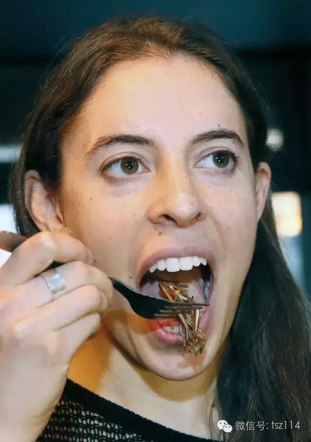 盘点各国奇葩的黑暗系美食,盘点那些超奇葩美食地狱级