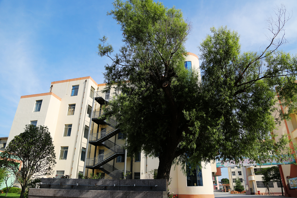 山东省威海市文登区七里中学介绍,威海市文登区七里中学转第二中学