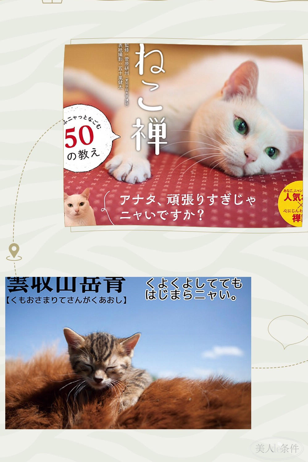 美酱参加东京奥运会了吗,美酱奥运