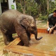 羊妞的日常生活,羊妞的生活记录