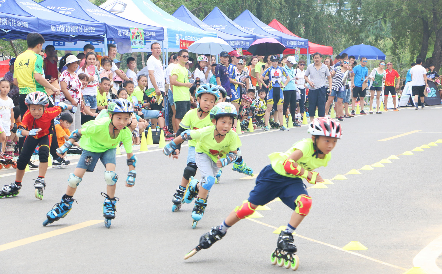 杞粦娌傛按,娌傛按骞垮満杞粦