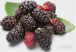 真正的神仙叶的功效,什么叶子降血糖有明显效果