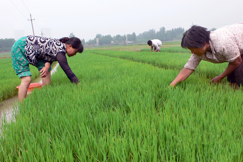 警惕｜爱过敏的你要小心，千万不能像她这么做！