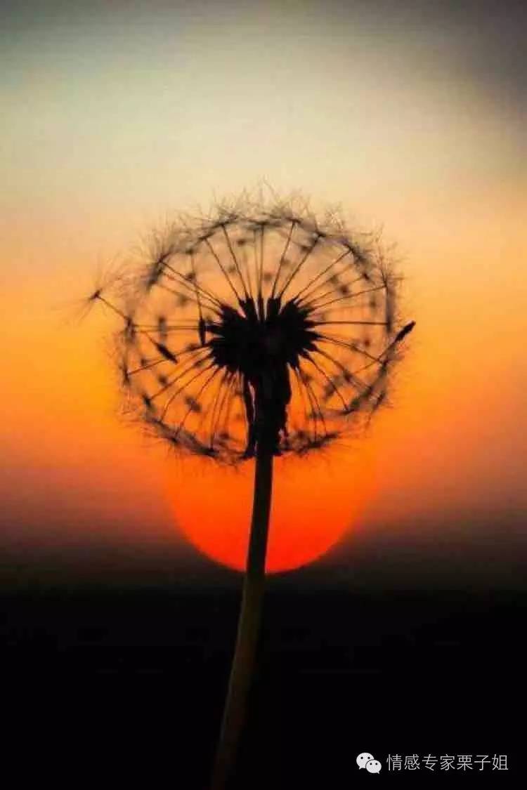 老公给外面女人充话费,老公给外面的女人充话费