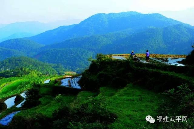 一封武平籍在厦外企的白领丽人的辞职信，看得我自信爆棚!