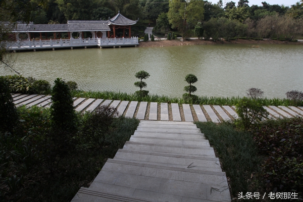 广西南宁狮山公园图,南宁狮山公园景观改造