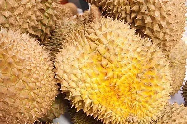 榴莲主题甜品店,首家榴莲主题甜品店