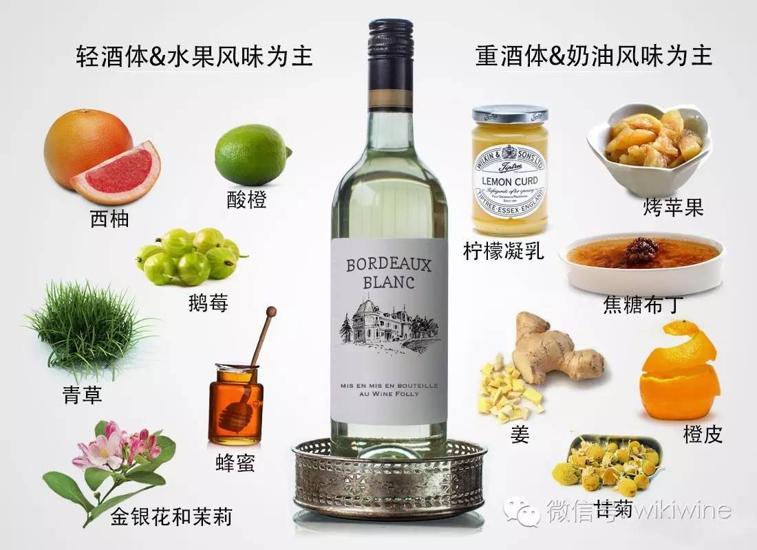 新手葡萄酒知识培训,新手入门喝什么葡萄酒