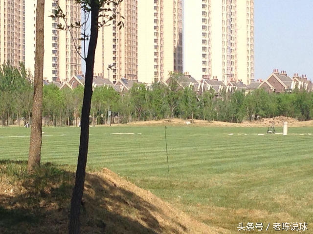 权健俱乐部基地,权健基地在哪