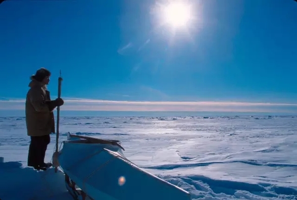 挑选鱼油:你必须知道的一些事情