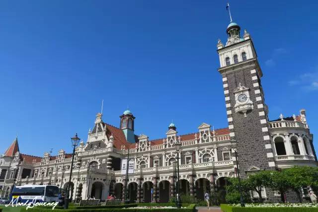 新西兰丨Dunedin但尼丁：骄傲的花园城市