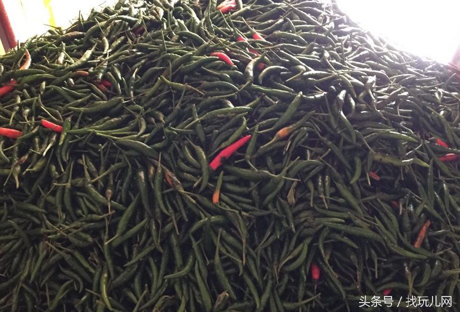 贵圈太乱出处,贵圈太乱还会出现什么