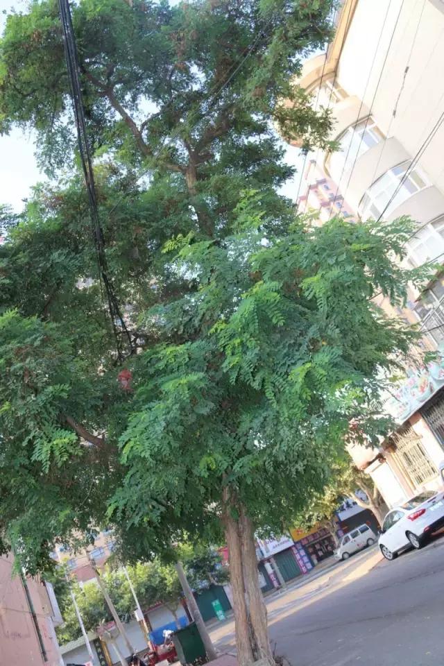 瀹跺湪杩滄柟鐨勫,瀹跺湪娴烽槼