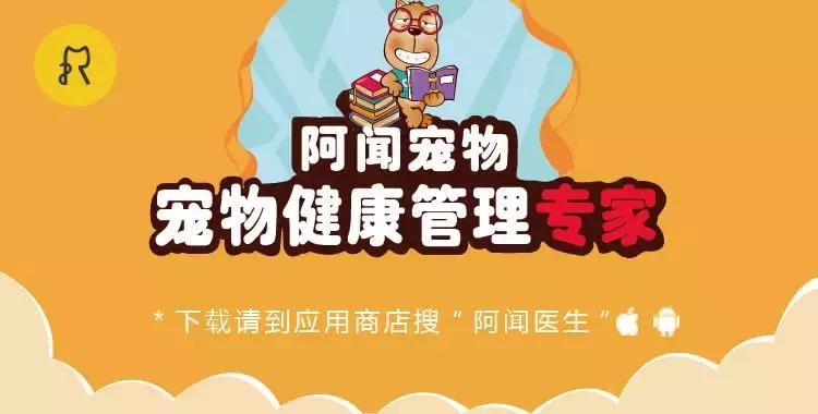 猫咪中暑会尿黄吗,猫咪中暑的症状及治疗方法图片