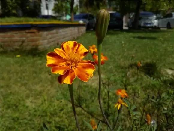 荣耀5.8英寸全面屏手机推荐,荣耀畅玩206.5英寸大屏