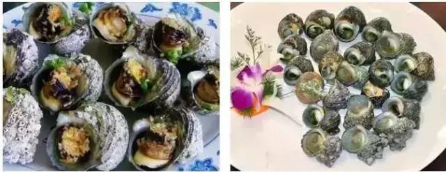 这是一份大亚湾霞涌的简历，请双手拿好并传递下去！