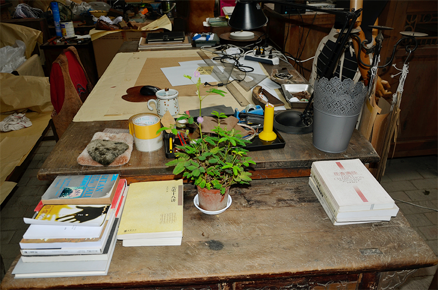 在成都去桃花源,成都桃花源生活