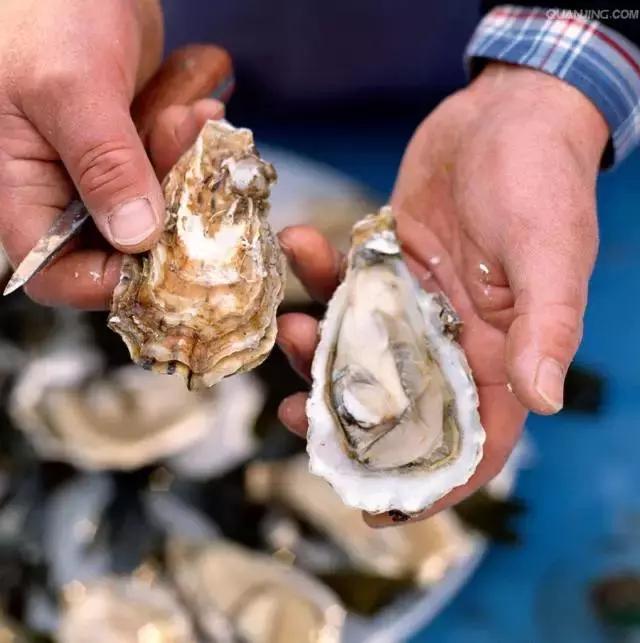烟台海鲜什么季节最好吃,逼格最高的烟台海鲜