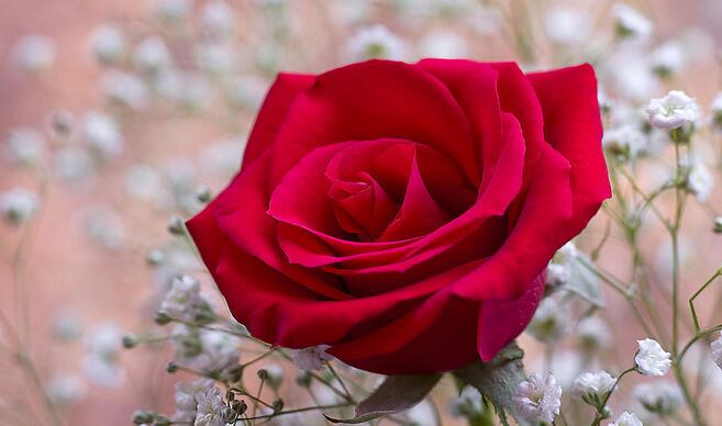 梦克拉面膜,梦可拉睡眠面膜有用吗