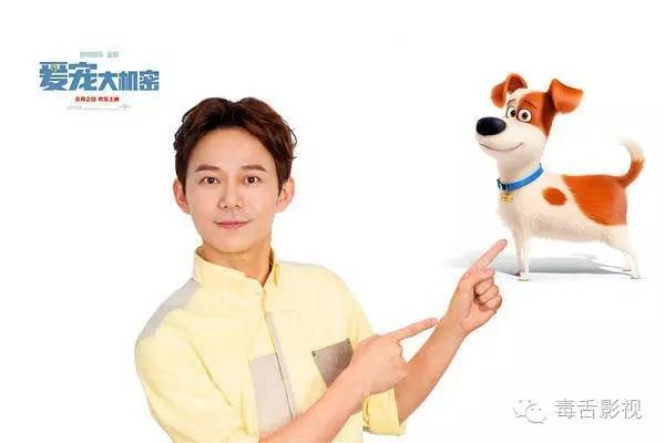 爱宠大机密和宠物大机密,疯狂动物城爱宠大机密