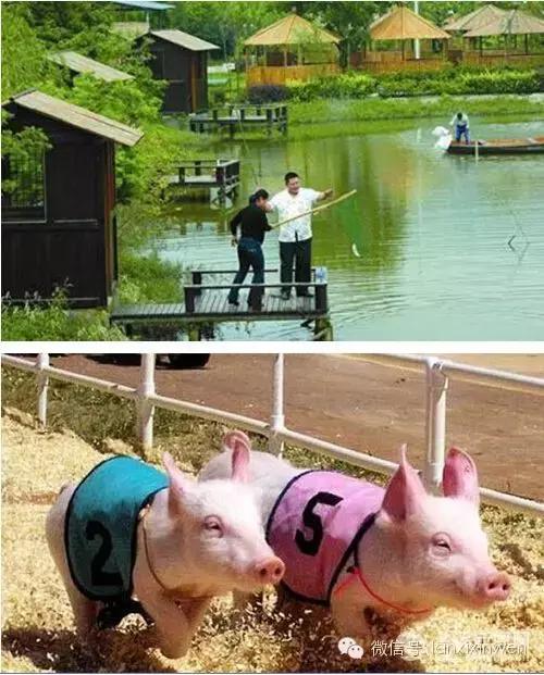 兰溪文旅风景区在哪里,兰溪全域旅游