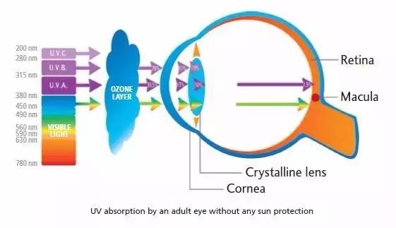 选对墨镜,选对太阳镜提升魅力仅在一瞬间
