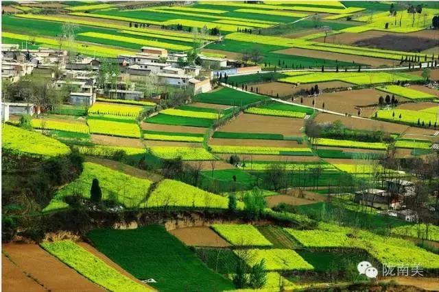 甘肃省第一美人是谁,陇南美女甘肃