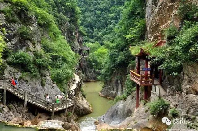 甘肃省第一美人是谁,陇南美女甘肃