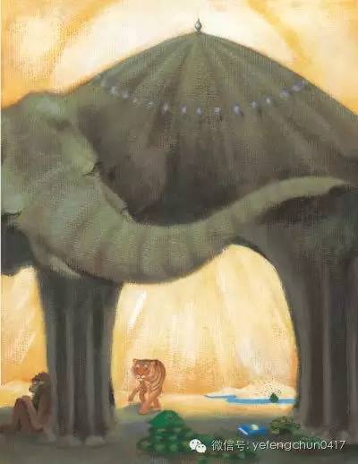 苍蝇和大象的足球赛,伟大无需证明