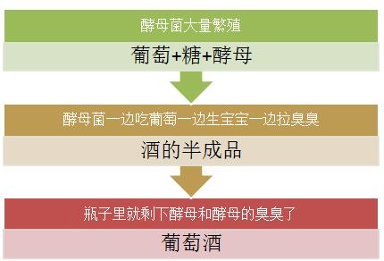 酵母提取物和酵母滤液的区别,酵母提取物是怎么提取的