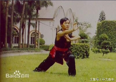 冰岛普洱茶茶山风景,普洱名山薄荷塘