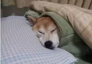 额头上疯狂冒痘是怎么回事,额头狂冒痘