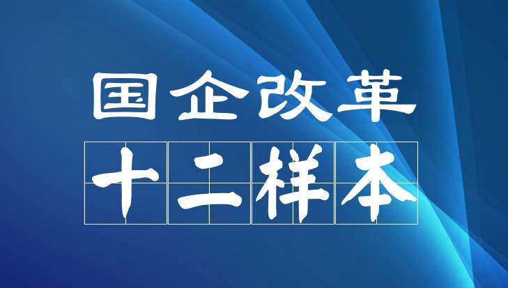 国企改革细分,国企改革制度汇编