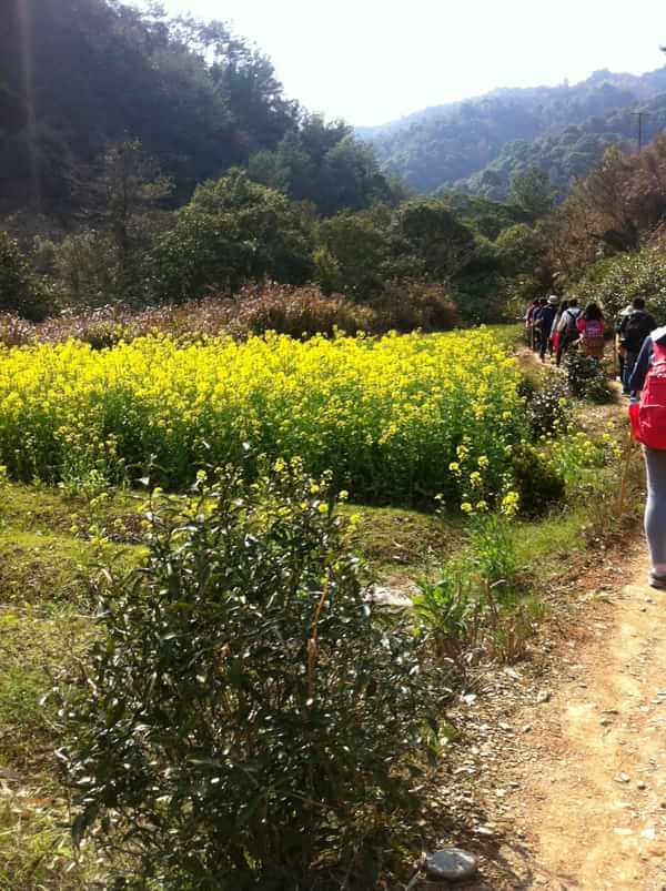 稻草人旅行有什么特色,稻草人旅行沙漠