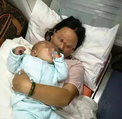 食用野生菌科普知识,菌类常识