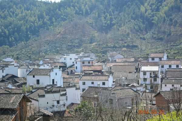 稻草人旅行有什么特色,稻草人旅行沙漠