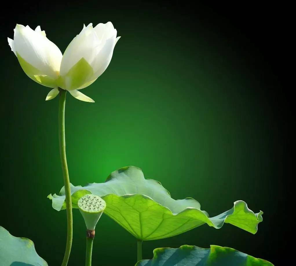 星云大师：夫妇之道有三等，看看你是哪一等？