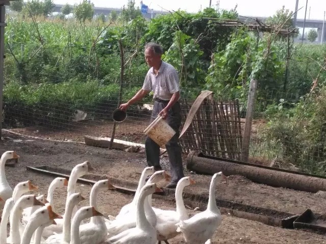 古城镇古村落视频,洛阳市古城村