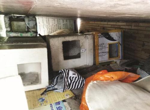 流浪野猫怎么处理,野猫总是来院里怎么办