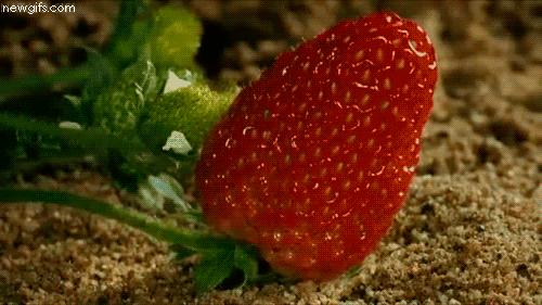 四维世界超立方体,四维世界亲身感觉