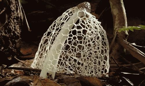 四维世界超立方体,四维世界亲身感觉